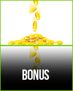 Bonus