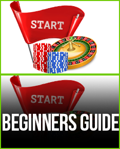 Guide for Beginners